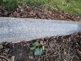image of grave number 362771